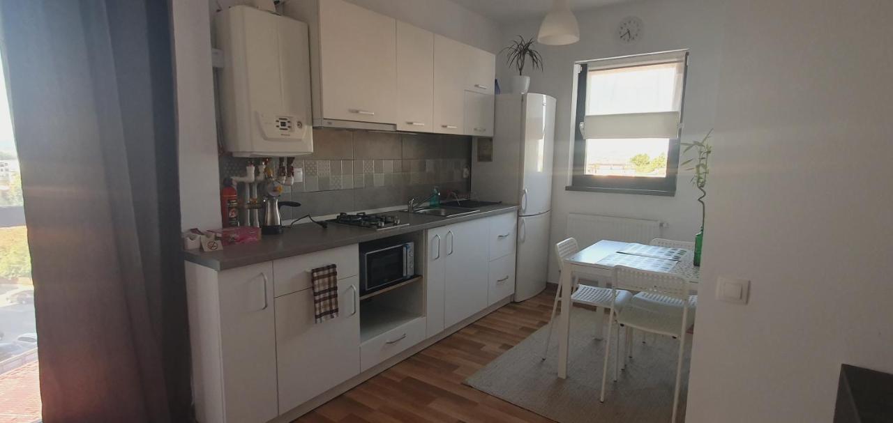 Welcome In Central Pitesti Apartman Kültér fotó